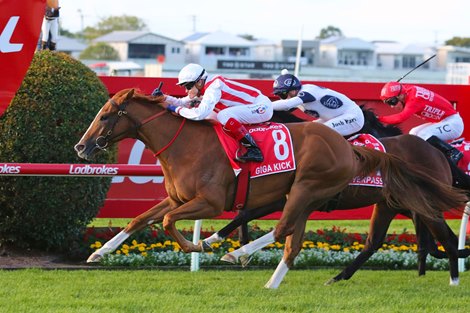 Giga Kick wins the 2023 Doomben 10,000 at Doomben Racecourse<br>
ridden by Craig Williams and Trained by Clayton Douglas Giga Kick wins the 2023 Doomben 10,000 at Doomben Racecourse<br>
ridden by Craig Williams and Trained by Clayton Douglas