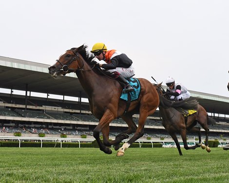 Aspen Grove wins the 2023 Belmont Oaks Invitational Stakes at Belmont Park Aspen Grove wins the 2023 Belmont Oaks Invitational Stakes at Belmont Park
