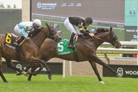 Jockey Sahin Civaci guides Lucky Score to victory in the $200,000 Highlander stakes over the E.P.Taylor turf course. Lucky Score is owned by Gary Barber, Wachtel Stable and Pantofel Stable and trained by Mark Casse. Jockey Sahin Civaci guides Lucky Score to victory in the $200,000 Highlander stakes over the E.P.Taylor turf course. Lucky Score is owned by Gary Barber, Wachtel Stable and Pantofel Stable and trained by Mark Casse.