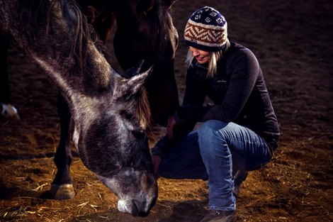 Abijah's Off Track Thoroughbreds for Mental Health Abijah's Off Track Thoroughbreds for Mental Health