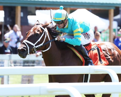 Buttercream Babe - MSW - R01 - Kentucky Downs - 083123 Buttercream Babe - MSW - R01 - Kentucky Downs - 083123