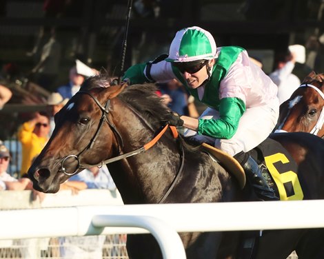 Ancient Rome wins 2023 Mint Millions Stakes at Kentucky Downs Ancient Rome wins 2023 Mint Millions Stakes at Kentucky Downs