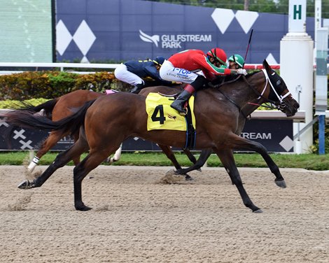 Welcome Back wins the 2023 FTBOA Florida Sire Desert Vixen Stakes at Gulfstream Park Welcome Back wins the 2023 FTBOA Florida Sire Desert Vixen Stakes at Gulfstream Park