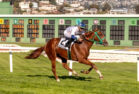 Charlene's Dream wins the $75,000 Guaranteed Pike Place Dancer, the 1-mile race ran in 1:38.32, ridden by Evin Roman and trained by Ed Moger, Jr. at Golden Gate Fields. Photo credit: Vassar Photography