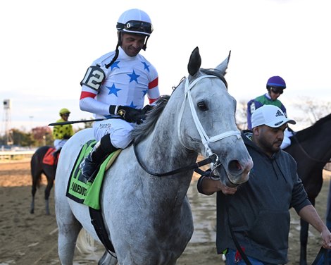Master Piece wins the 2023 Red Smith Stakes at Aqueduct Master Piece wins the 2023 Red Smith Stakes at Aqueduct