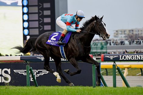 Equinox wins the Japan Cup on Sunday, November 26, 2023 at Tokyo Racecourse Equinox wins the Japan Cup on Sunday, November 26, 2023 at Tokyo Racecourse