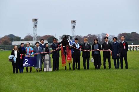 Equinox wins the Japan Cup on Sunday, November 26, 2023 at Tokyo Racecourse Equinox wins the Japan Cup on Sunday, November 26, 2023 at Tokyo Racecourse
