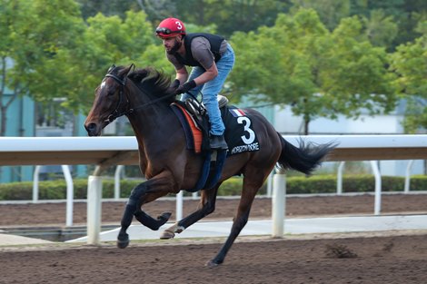 Horizon Dore, Sha Tin, December 9, 2023 Horizon Dore, Sha Tin, December 9, 2023