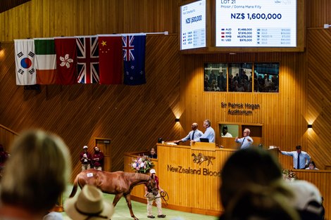 Lot 21, 2024 New Zealand Bloodstock National Yearling Sale at Karaka Lot 21, 2024 New Zealand Bloodstock National Yearling Sale at Karaka