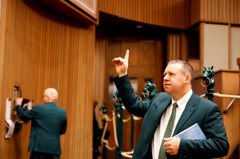 Scenics, 2024 Keeneland January Horses of All Ages Sale Scenics, 2024 Keeneland January Horses of All Ages Sale