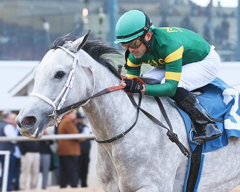 Too Much Kiki wins the Bara Lass Stakes on Saturday, January 27, 2024 at Sam Houston Too Much Kiki wins the Bara Lass Stakes on Saturday, January 27, 2024 at Sam Houston