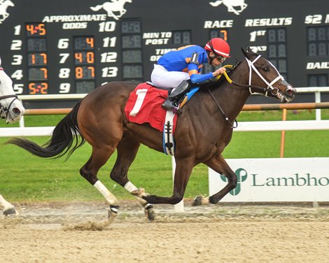 Mystic Lake wins the Gasparilla Stakes on Saturday, January 13, 2024 at Tampa Bay Downs Mystic Lake wins the Gasparilla Stakes on Saturday, January 13, 2024 at Tampa Bay Downs