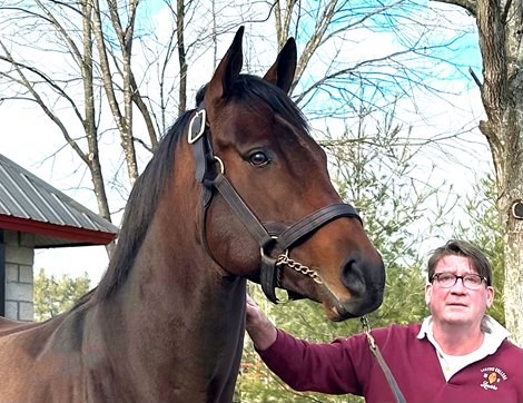 Dr. Padraig "Paddy" O'Casaigh with Early Voting at Taylor Made Stallions Dr. Padraig "Paddy" O'Casaigh with Early Voting at Taylor Made Stallions