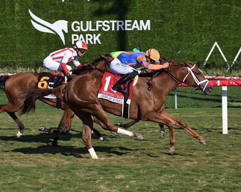 Life's an Audible wins the 2024 Sweetest Chant Stakes at Gulfstream Park Life's an Audible wins the 2024 Sweetest Chant Stakes at Gulfstream Park