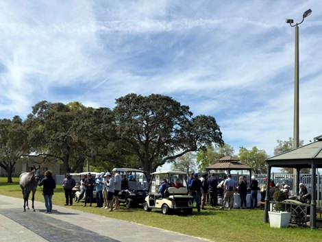 Scenics, Raul and Martha Reyes of King’s Equine. Lunch is one of their signature events during the sale, 2024 OBS March 2 year old Sale Scenics, Raul and Martha Reyes of King’s Equine. Lunch is one of their signature events during the sale, 2024 OBS March 2 year old Sale