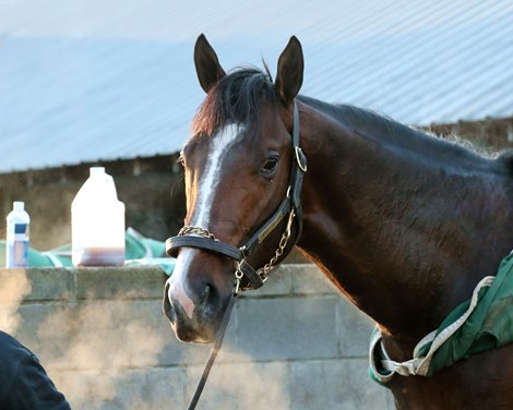 Just Steel - Bath - Oaklawn Park - 032824 Just Steel - Bath - Oaklawn Park - 032824