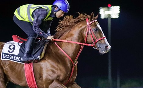 Jasper Krone, Meydan, March 27 2024 Jasper Krone, Meydan, March 27 2024