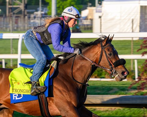 Stronghold<br>
Morning training at Churchill Downs on April 23, 2024. .