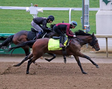 T O Password on the track working 4 furlongs in 46.80 at Churchill Downs on April 30, 2024. Photo By: Chad B. Harmon