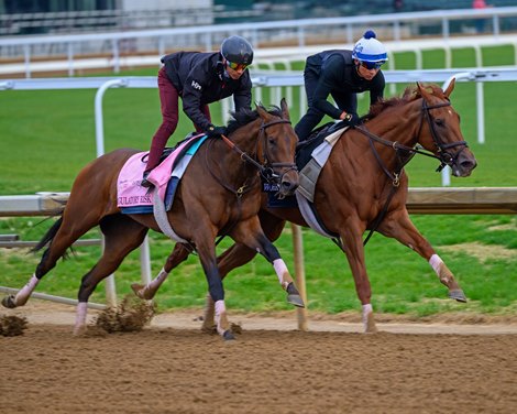 (L-R): Regulatory Risk and her workmate<br>
Morning training at Churchill Downs on April 27, 2024. .