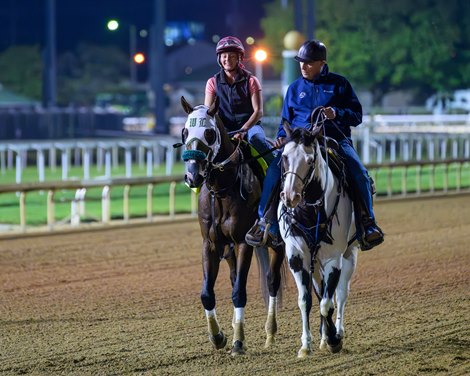 D. Wayne Lukas on pony walks back to barn with Just Steel<br>
Morning training at Churchill Downs on April 28, 2024.