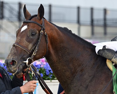 Blazing Sevens - AOC - AQU - 042024 Blazing Sevens - AOC - AQU - 042024