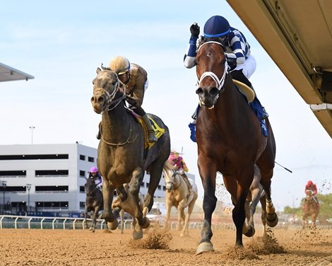 Messier wins the 2024 Westchester Stakes at Aqueduct