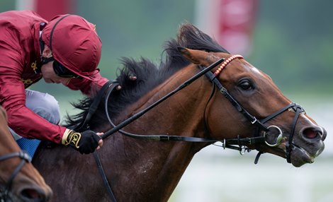 Middle Earth (Oisin Murphy) wins the Aston Park Stakes<br>
Newbury 18.5.24 Pic: Edward Whitaker Middle Earth (Oisin Murphy) wins the Aston Park Stakes<br>
Newbury 18.5.24 Pic: Edward Whitaker
