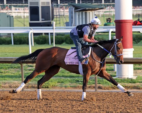 Thorpedo Anna on the track at Churchill Downs on May 1, 2024. Photo By: Chad B. Harmon