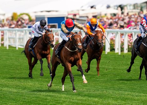 Shareholder and James Doyle win the G2 Norfolk Stakes Royal Ascot, Ascot, UK, June 20th, 2024, Mathea Kelley Shareholder and James Doyle win the G2 Norfolk Stakes Royal Ascot, Ascot, UK, June 20th, 2024, Mathea Kelley