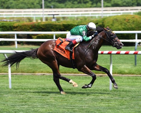 Pharoah's Dynasty - MSW - BAQ - 062324 Pharoah's Dynasty - MSW - BAQ - 062324