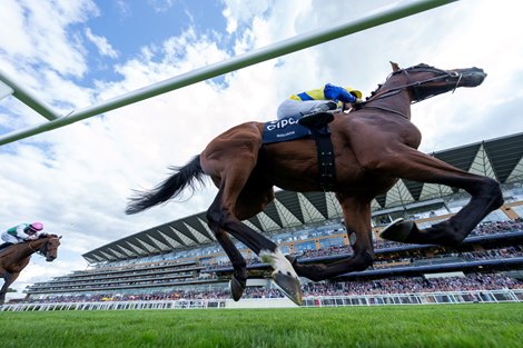 Goliath (Christophe Soumillon) wins the King George VI and Queen Elizabeth Stakes<br>
Ascot 27.7.24 Pic: Edward Whitaker Goliath (Christophe Soumillon) wins the King George VI and Queen Elizabeth Stakes<br>
Ascot 27.7.24 Pic: Edward Whitaker