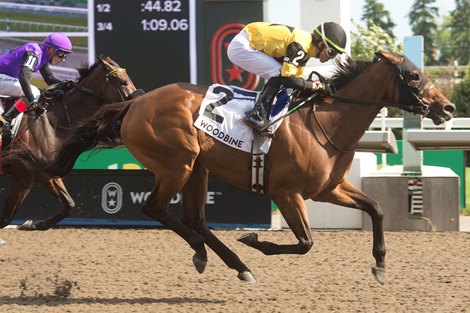 Kazushi Kimura guides Gal in a Rush to victory in the $135,000 Hendrie Stakes at Woodbine Kazushi Kimura guides Gal in a Rush to victory in the $135,000 Hendrie Stakes at Woodbine