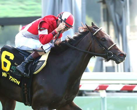 Walkathon wins the 2024 Kentucky Downs Ladies Turf Stakes Walkathon wins the 2024 Kentucky Downs Ladies Turf Stakes
