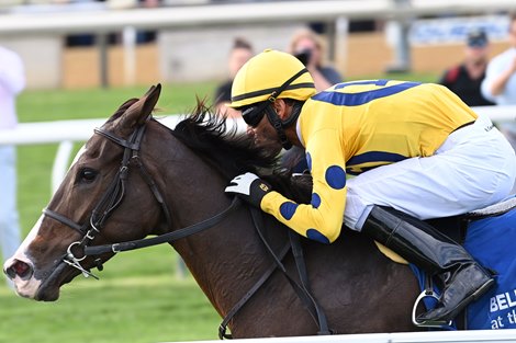 La Mehana wins the 2024 Waya Stakes at Aqueduct Racetrack La Mehana wins the 2024 Waya Stakes at Aqueduct Racetrack