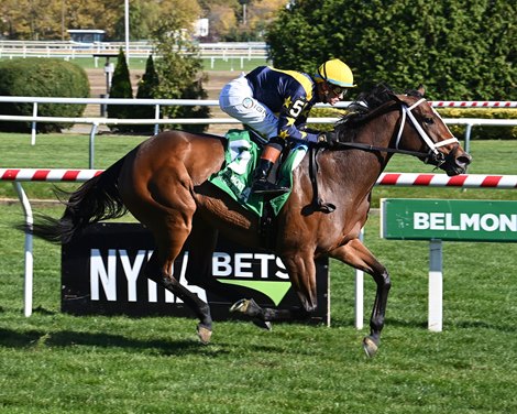Ellen Jay wins the 2024 Glen Cove Stakes at Aqueduct Racetrack Ellen Jay wins the 2024 Glen Cove Stakes at Aqueduct Racetrack
