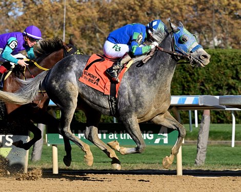 Coastal Mission wins the 2024 Forty Niner Stakes at Aqueduct Racetrack Coastal Mission wins the 2024 Forty Niner Stakes at Aqueduct Racetrack
