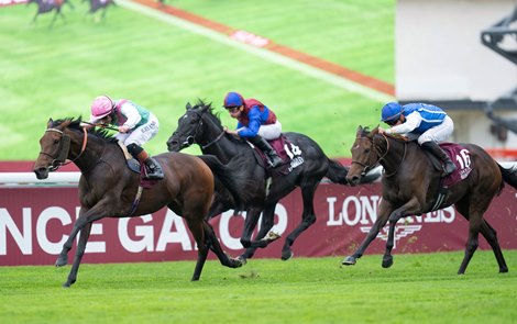 Bluestocking (Rossa Ryan) wins the Arc Longchamp 6.10.24 Pic: Edward Whitaker Bluestocking (Rossa Ryan) wins the Arc Longchamp 6.10.24 Pic: Edward Whitaker