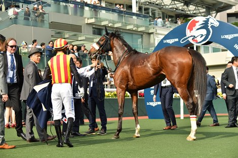 Stellenbosch, 2024 Hong Kong Vase Stellenbosch, 2024 Hong Kong Vase