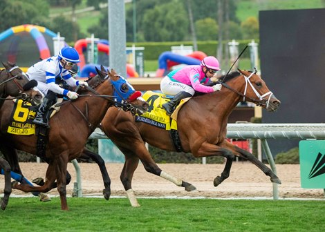 Formidable Man and jockey Umberto Rispoli, right, win the Grade I $300,000 Frank E. Kilroe Mile Saturday, March 1, 2025 at Santa Anita Park, Arcadia, CA.<br>
Benoit Photo Formidable Man and jockey Umberto Rispoli, right, win the Grade I $300,000 Frank E. Kilroe Mile Saturday, March 1, 2025 at Santa Anita Park, Arcadia, CA.<br>
Benoit Photo