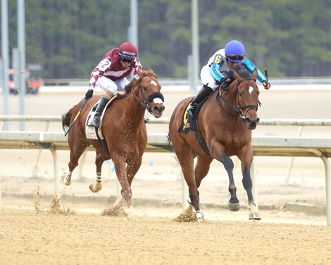 BOOK'EM DANNO - The Boston Handicap -CNL - 031425 BOOK'EM DANNO - The Boston Handicap -CNL - 031425
