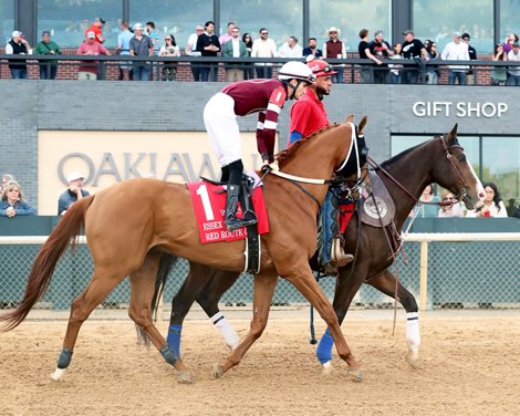 RED ROUTE ONE wins the 2025 Essex Handicap at Oaklawn Park RED ROUTE ONE wins the 2025 Essex Handicap at Oaklawn Park