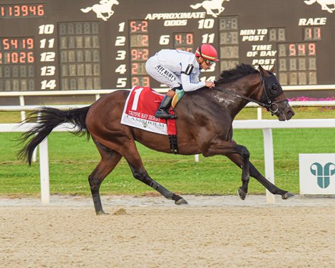 Owen Almighty wins the 2025 Tampa Bay Derby at Tampa Bay Downs Owen Almighty wins the 2025 Tampa Bay Derby at Tampa Bay Downs