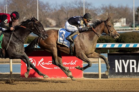 Drexel Hill wins the 2025 Busher Stakes at Aqueduct Racetrack Drexel Hill wins the 2025 Busher Stakes at Aqueduct Racetrack