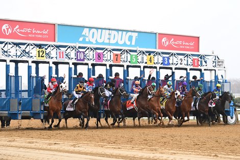 Rodriguez wins the 2025 Wood Memorial Stakes at Aqueduct Racetrack Rodriguez wins the 2025 Wood Memorial Stakes at Aqueduct Racetrack