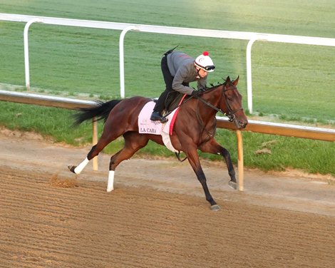 La Cara - Work - Churchill Downs - 04-22-25 La Cara - Work - Churchill Downs - 04-22-25