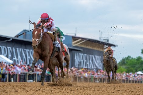 Journalism and Umberto Rispoli Win Race 13, G1 Preakness Stakes, Pimlico Racecourse, Baltimore, MD May 17, 2025, Mathea Kelley/Bloodhorse Journalism and Umberto Rispoli Win Race 13, G1 Preakness Stakes, Pimlico Racecourse, Baltimore, MD May 17, 2025, Mathea Kelley/Bloodhorse