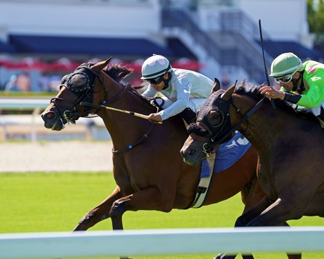 Layabout wins the 2025 Bear's Den Stakes at Gulfstream Park Layabout wins the 2025 Bear's Den Stakes at Gulfstream Park