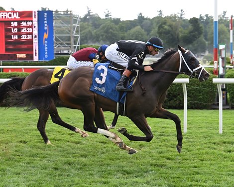 Snow Face Princess wins the 2025 Bolton Landing Stakes at Saratoga Snow Face Princess wins the 2025 Bolton Landing Stakes at Saratoga
