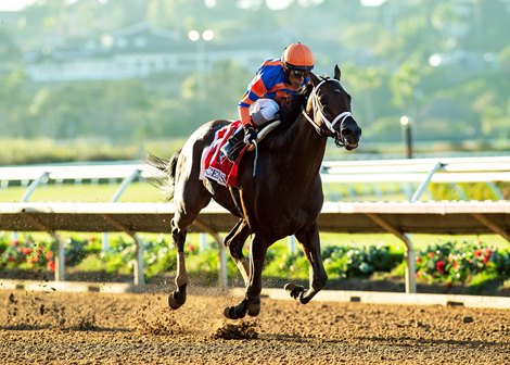 Fierceness and jockey John Velazquez win the Grade I, $1,000,000 Pacific Classic, Saturday, August 30, 2025 at Del Mar Thoroughbred Club, Del Mar CA.<br>
© BENOIT PHOTO Fierceness and jockey John Velazquez win the Grade I, $1,000,000 Pacific Classic, Saturday, August 30, 2025 at Del Mar Thoroughbred Club, Del Mar CA.<br>
© BENOIT PHOTO